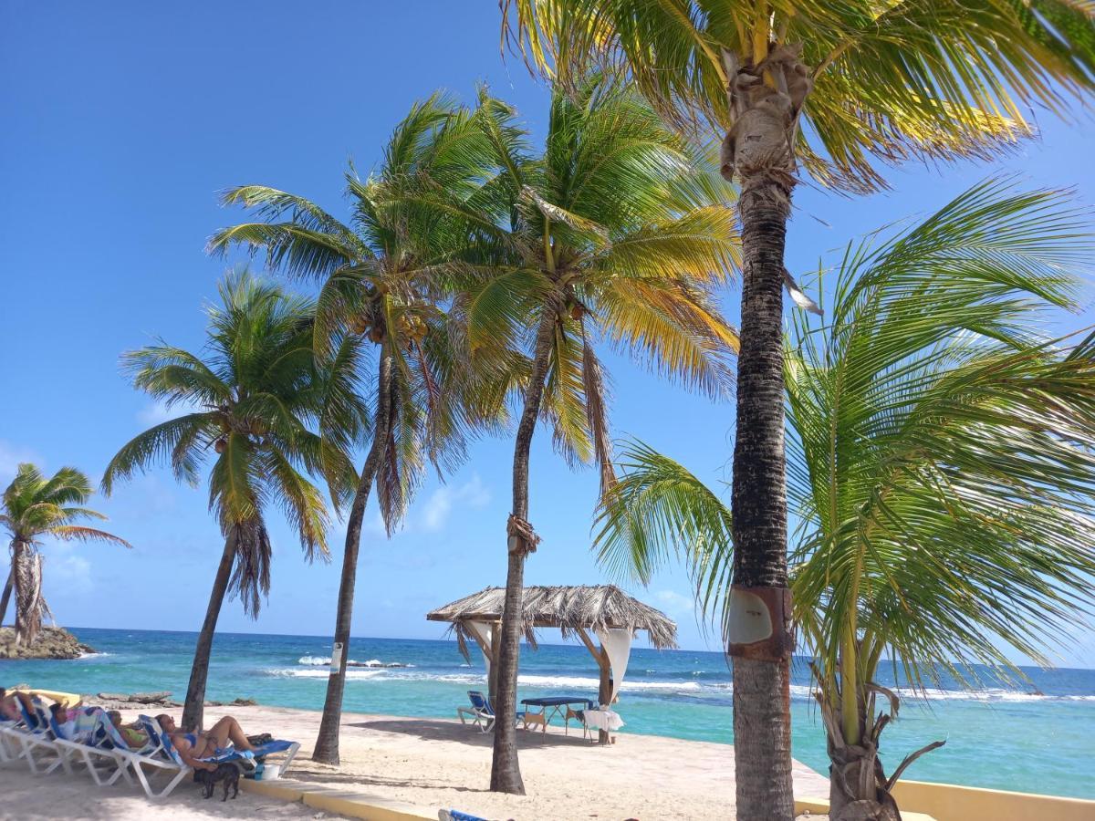 Tropical Cocooning Aparthotel Saint-Francois  Buitenkant foto